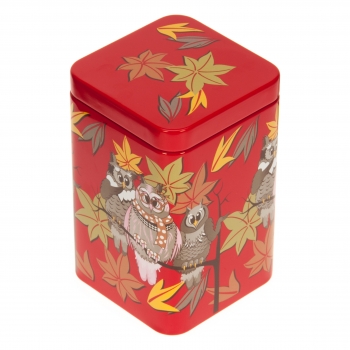 Teedose mit Plug-in Deckel 100g