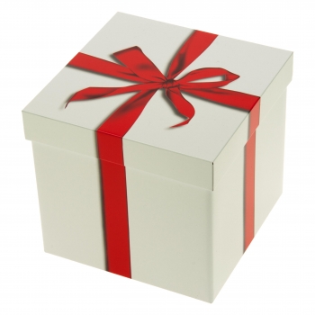 Geschenkbox in Würfelform (groß)